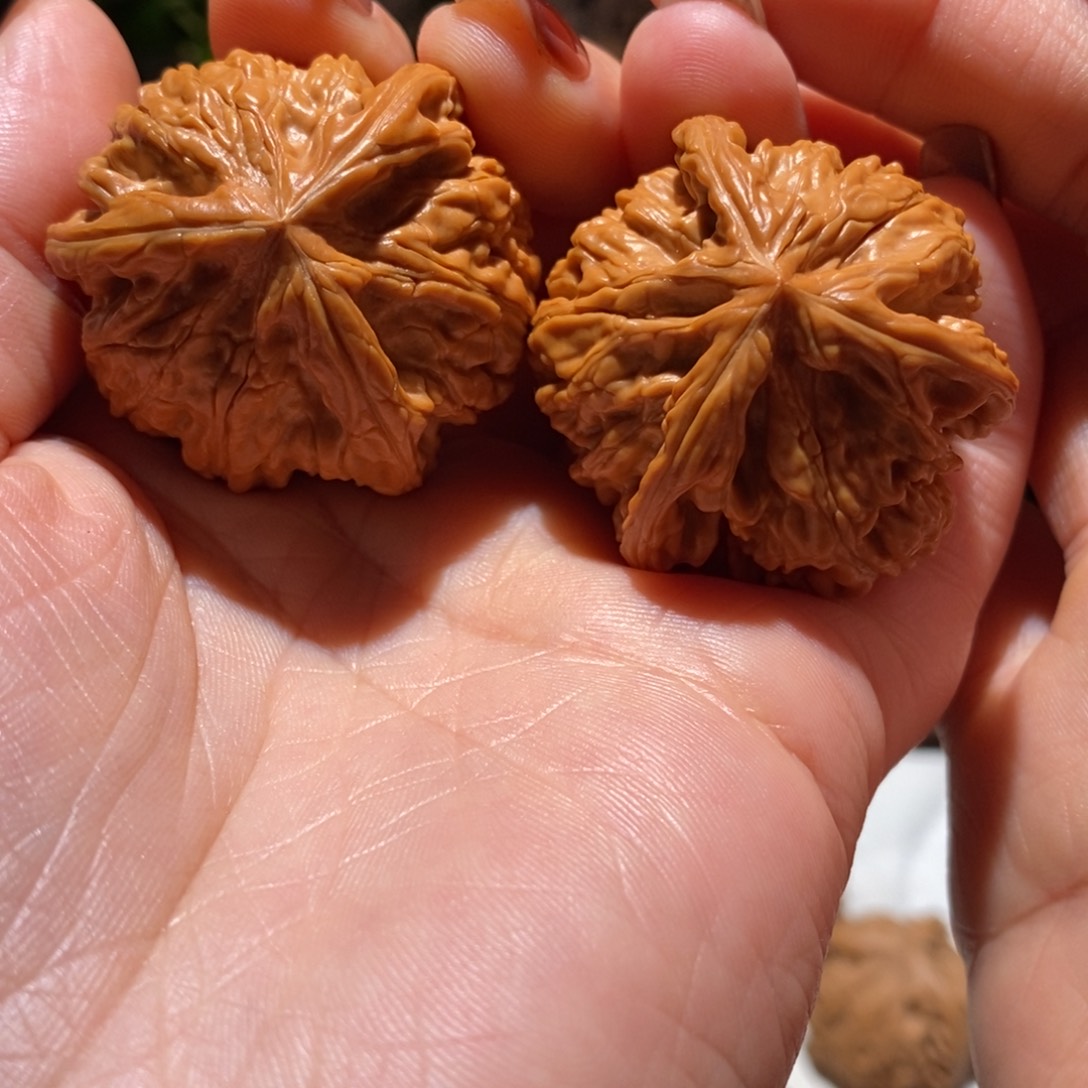 文玩核桃把件成**爷三棱38御龙粗筋