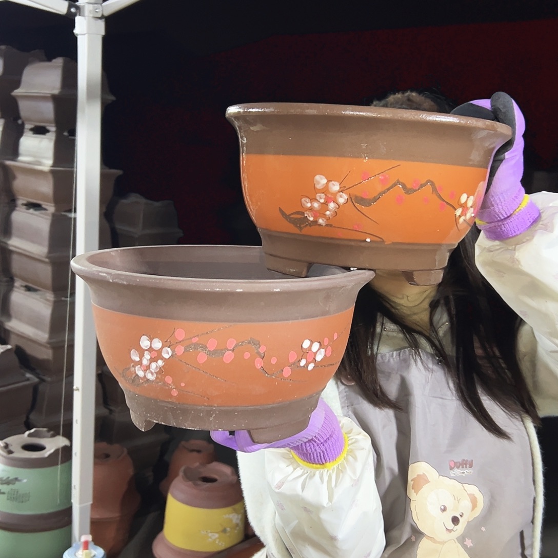 红富贵点菜大花盆花盆×2个