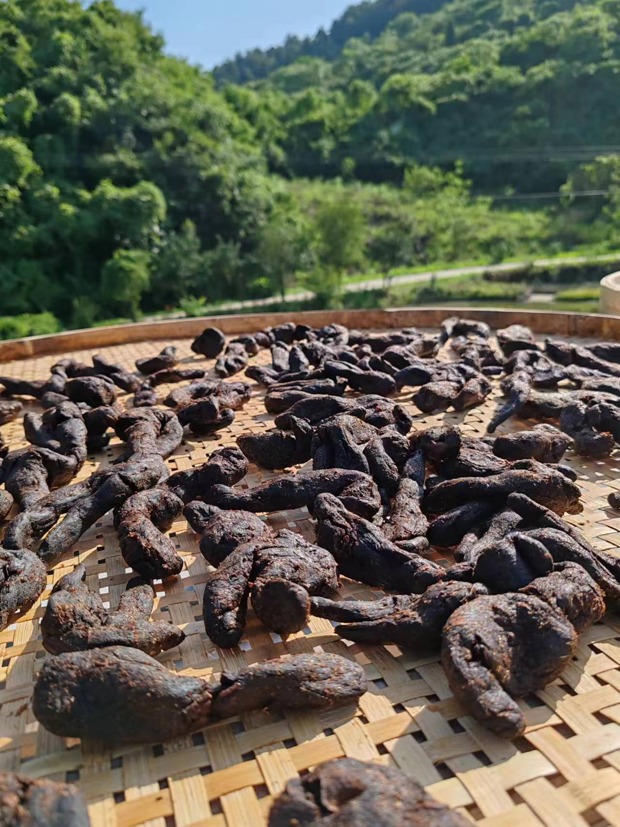 精选九蒸九制古法制作黄精可即食泡茶
