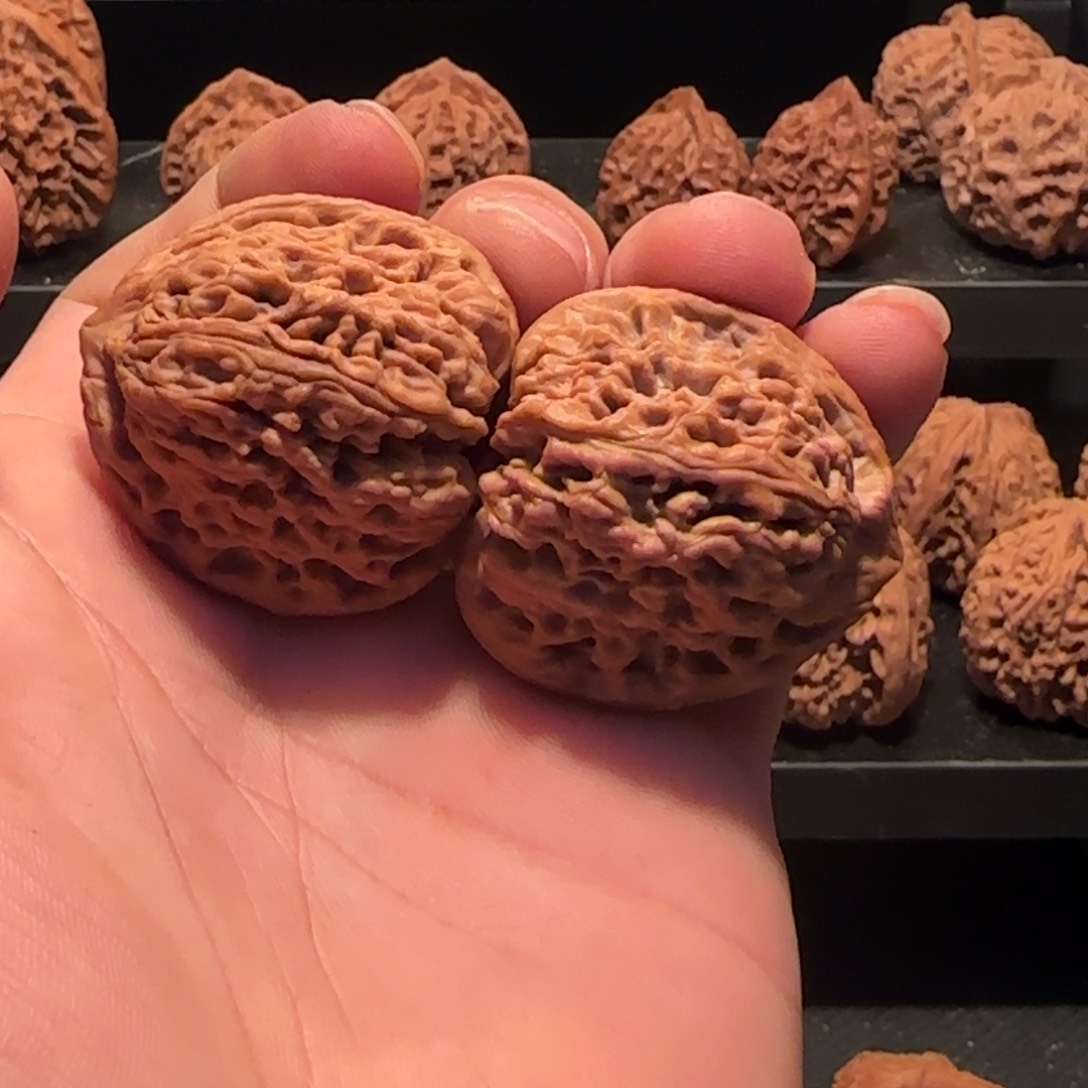 桃核把件涿鹿南疆石38