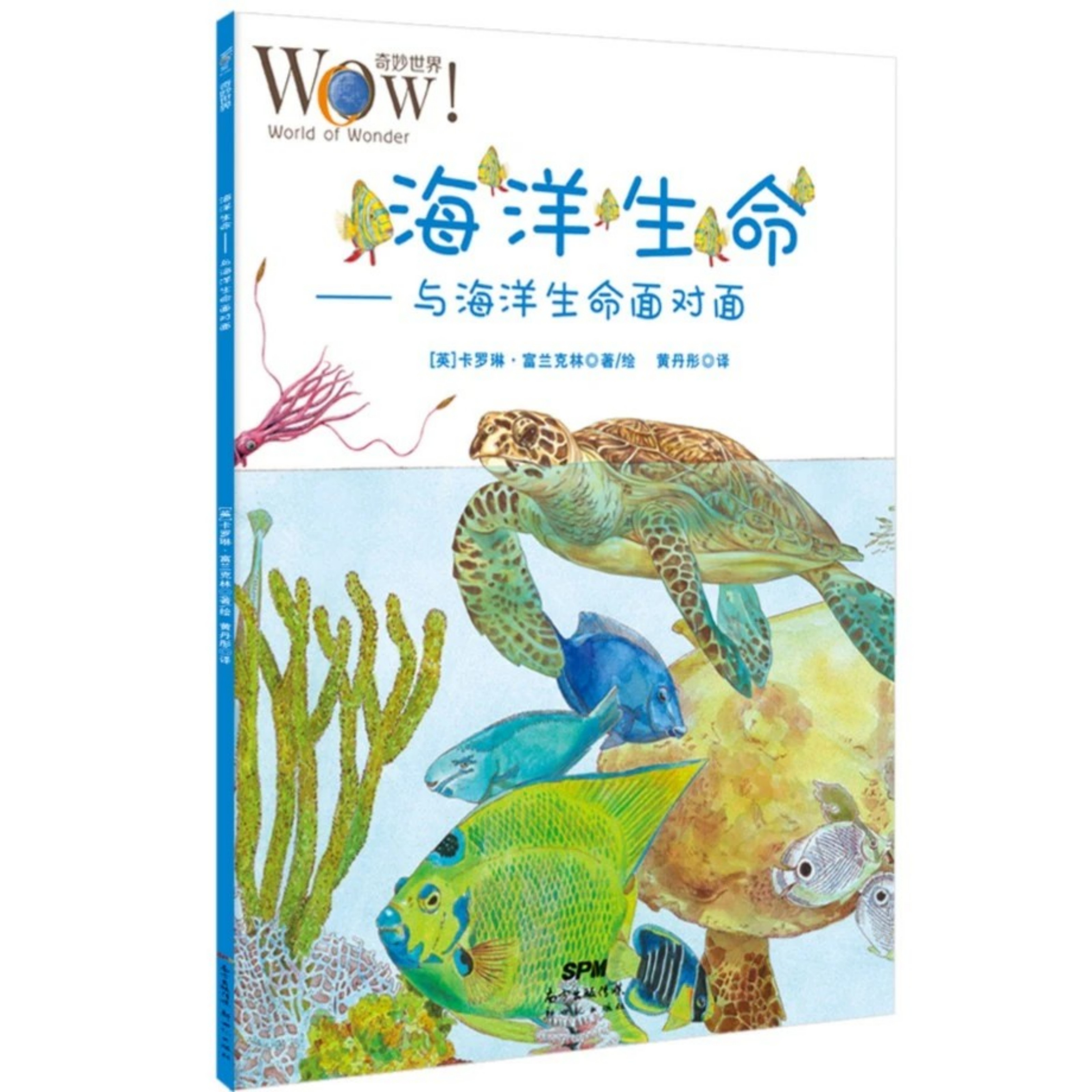 【精装硬壳】海洋生命4-8岁儿童认知奇妙世界的入门级趣味百科书籍