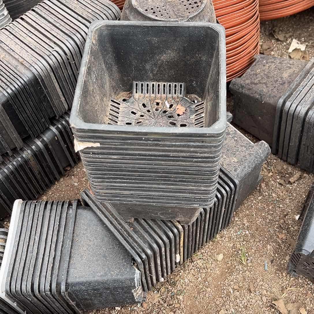 旧口径14高黑方盆30个