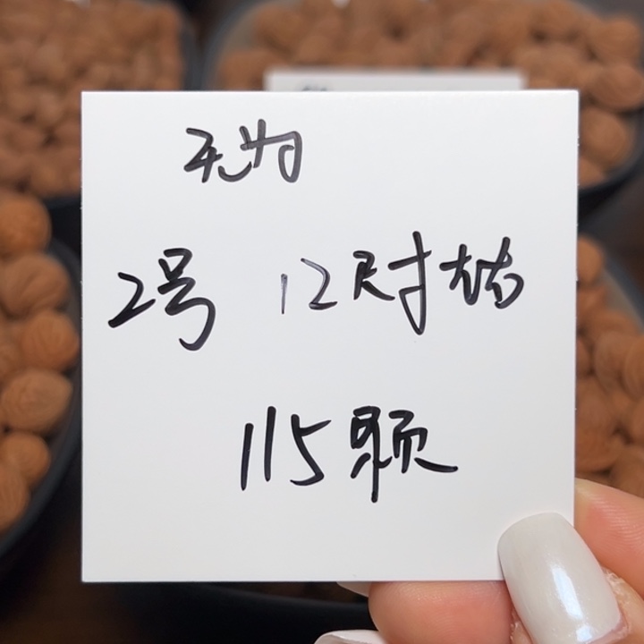 無***為木质类雕刻料肚卡12 115颗