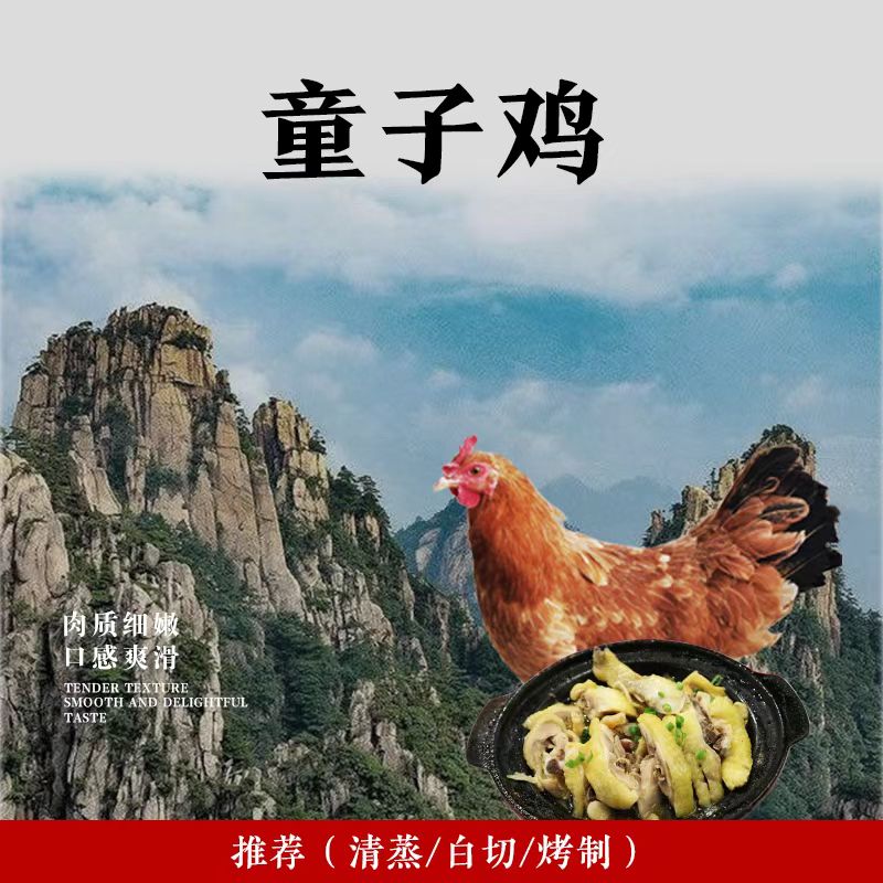 农家放养童子鸡 共两只带心肝胗 净重1600g 红烧爆炒 肉质鲜嫩 