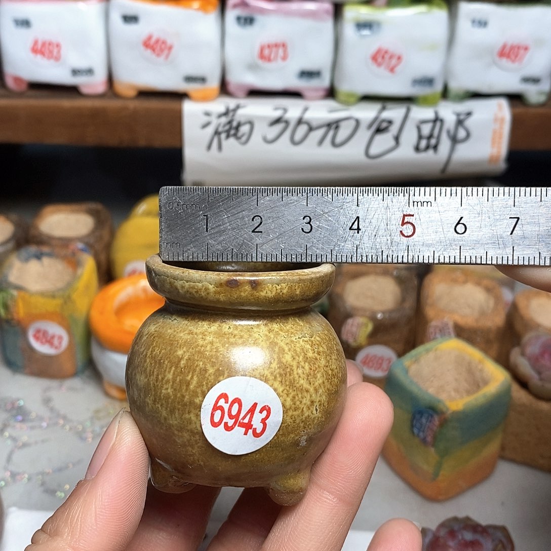 红陶拍5送一个小