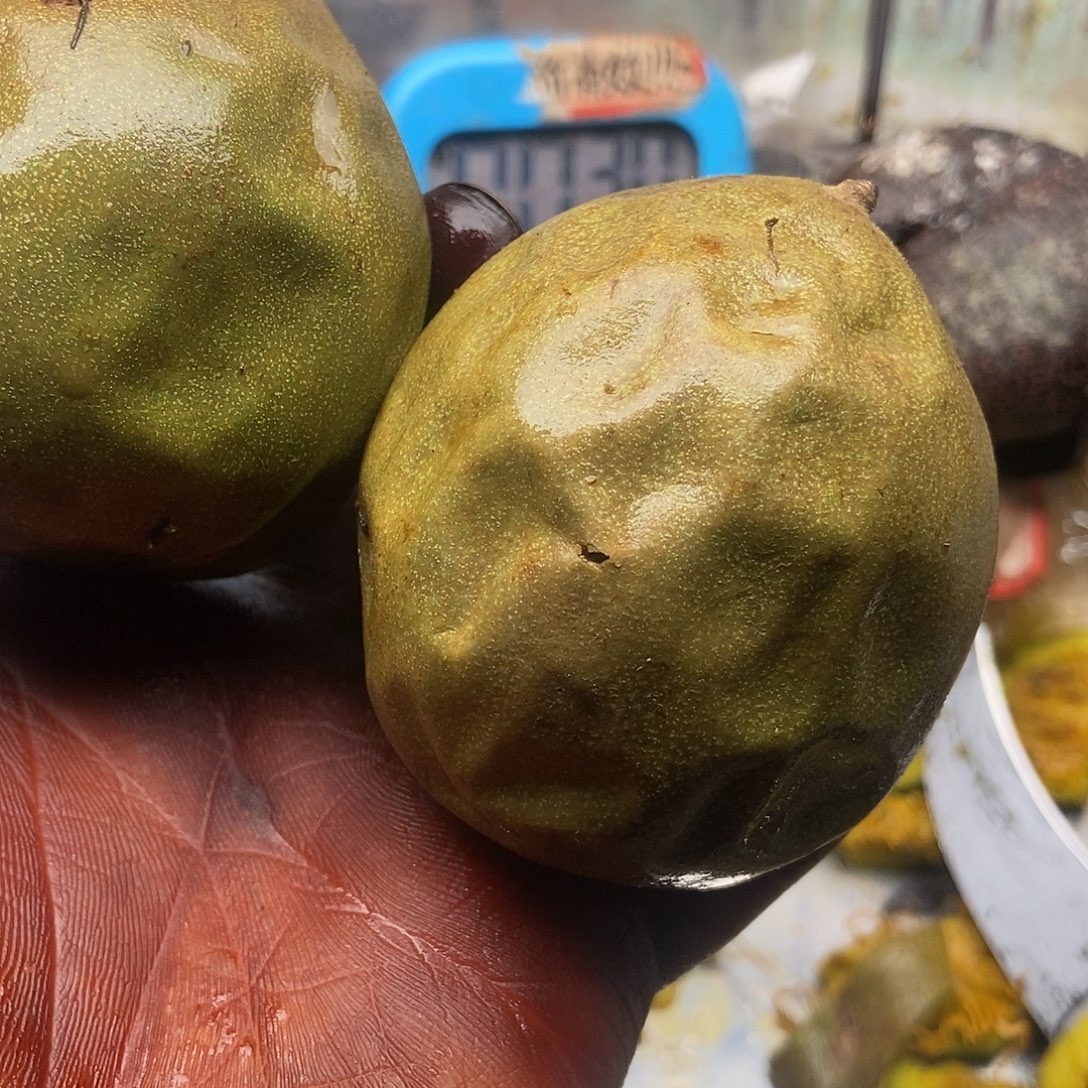 叮***当规划姐姐家姐姐哈哈哈哈哈哈