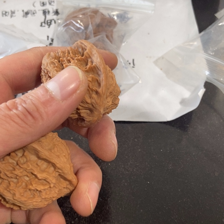 吊坠文玩核桃红狮子