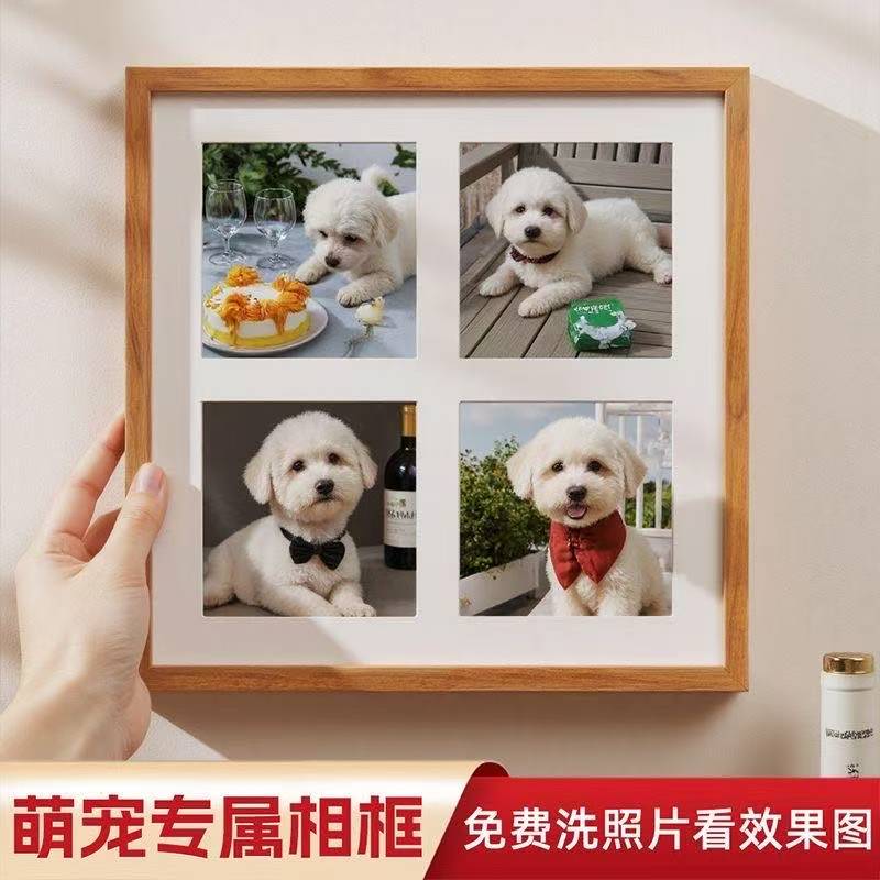 宠物狗狗猫咪生日周岁纪念相框摆台家居装饰相框照片打印定制