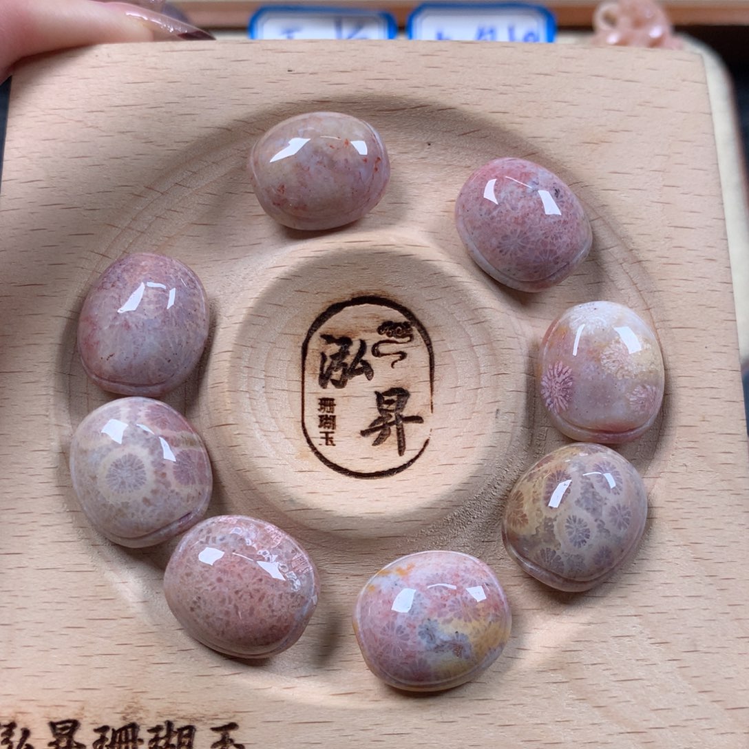 硅化珊瑚（珊瑚玉）龟背小件50漏25/个。可挑未镶嵌