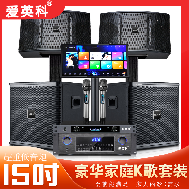 爱英科爱英科卡包12寸带双炮家庭KTV卡拉OK酒吧音响套装