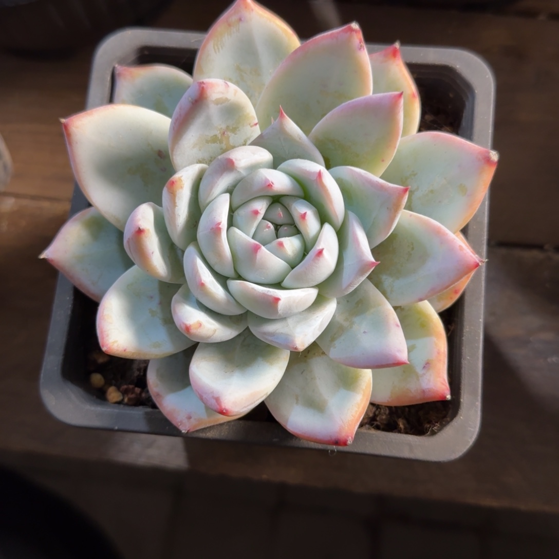 卡杂111111111111111111111