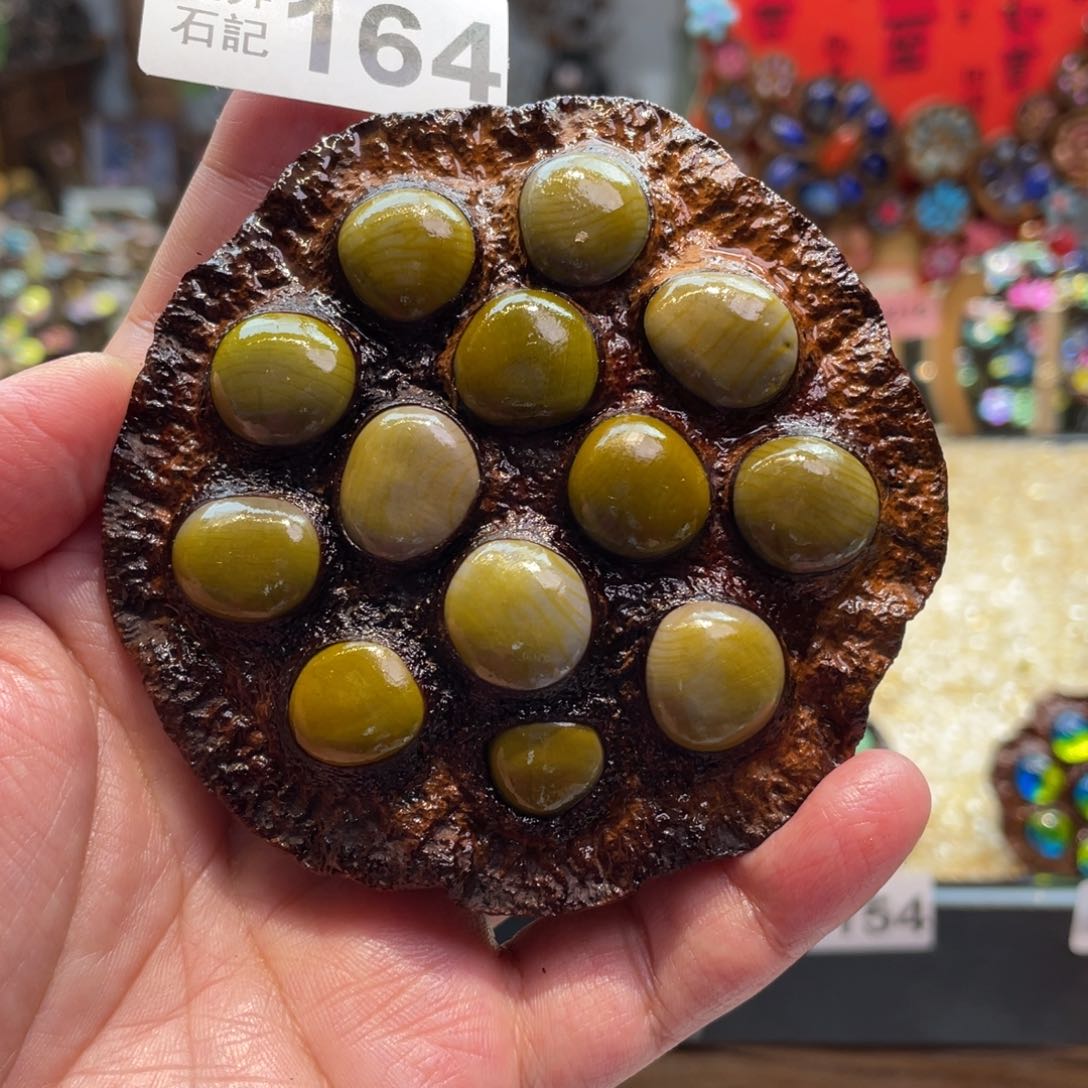 核桃木/黑胡桃（胡桃木）164