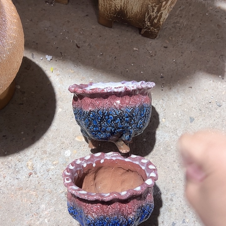 花盆仓库的花色款