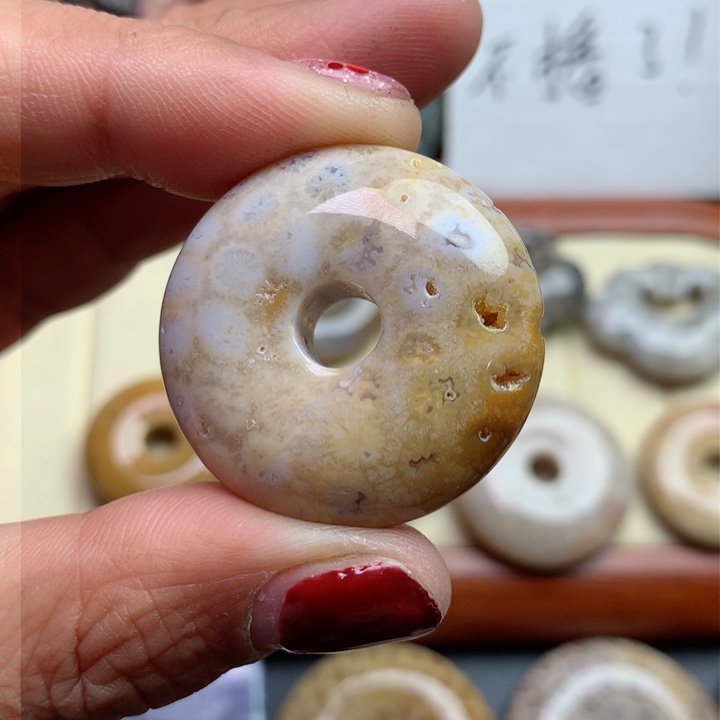 硅化珊瑚（珊瑚玉）颈饰未镶嵌