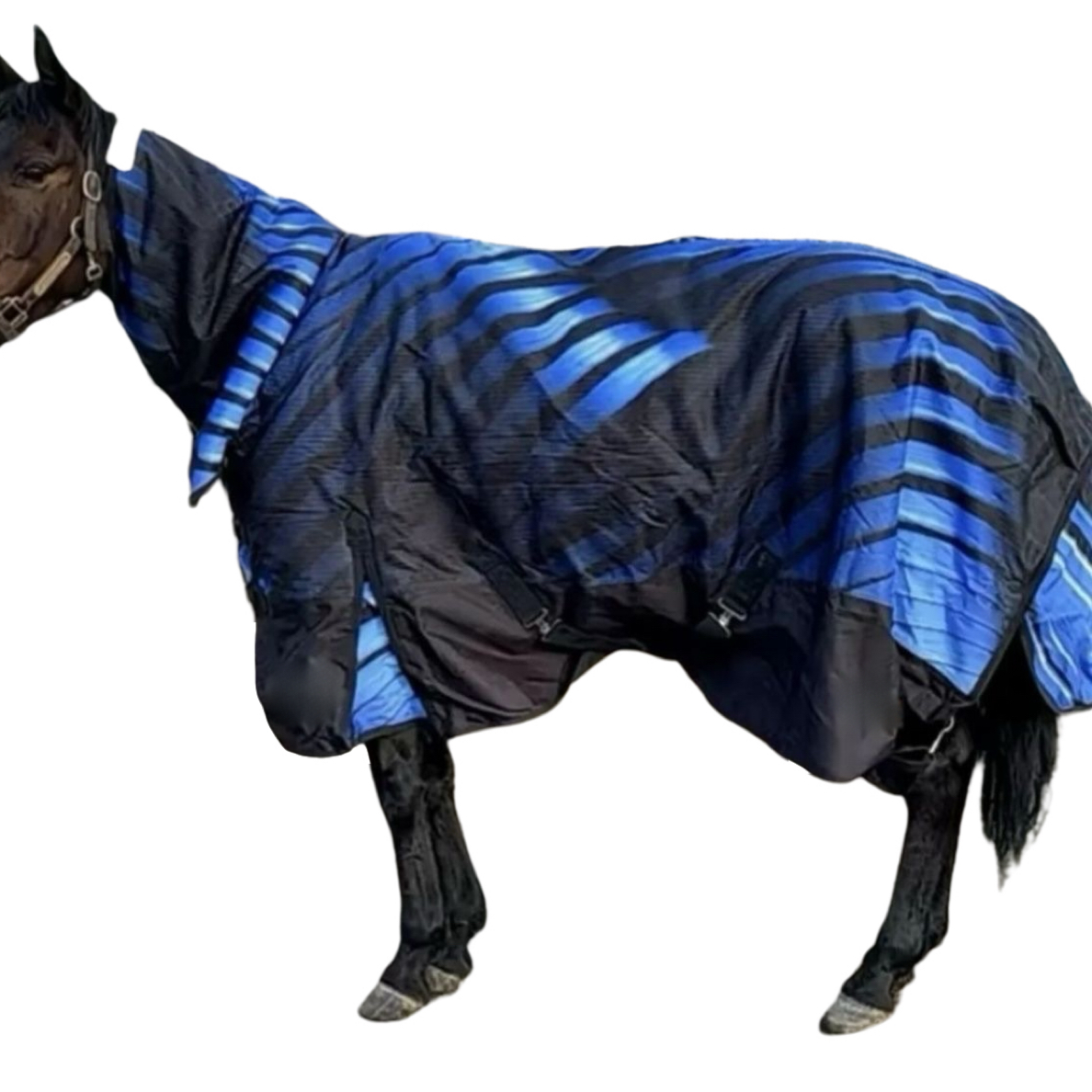 冬季加厚防水透气带围脖马衣防寒马具用品色彩艳丽马王同款色