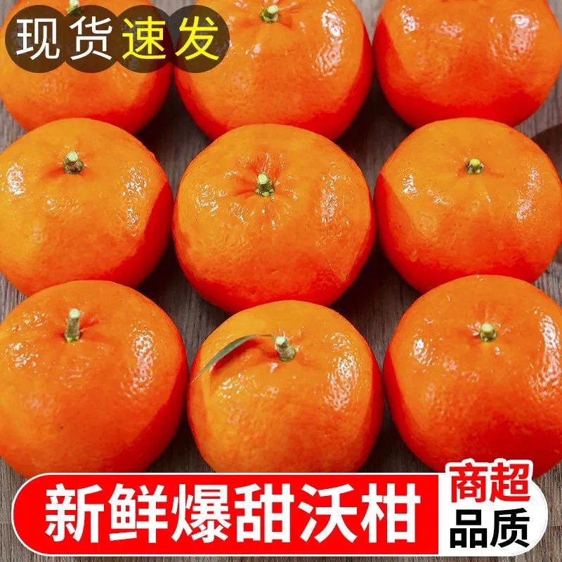 高山沃柑当季新鲜水果皮薄多汁香甜爽口橘子酸甜橙子现摘现发