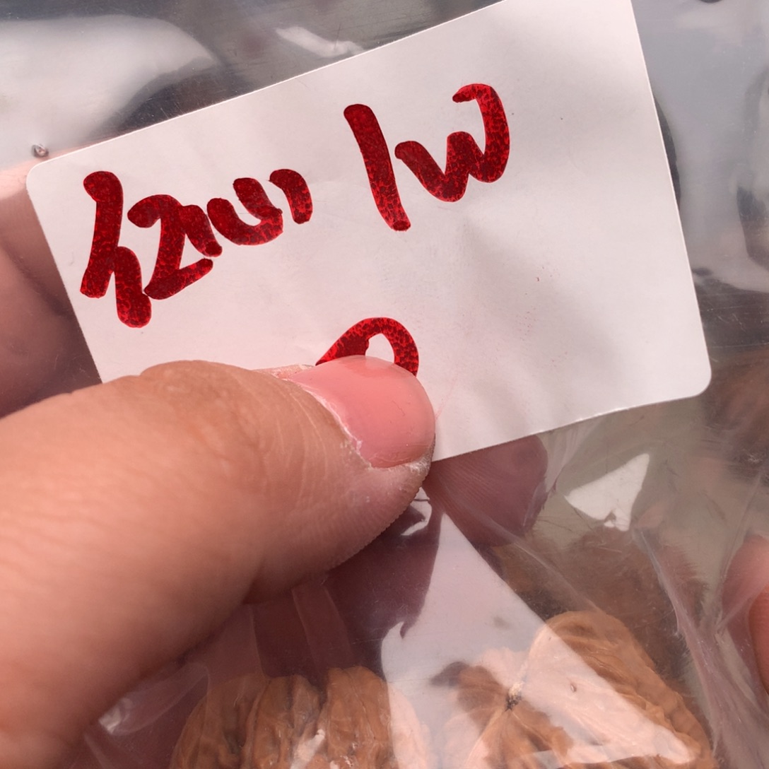 文玩核桃把件红心1w....