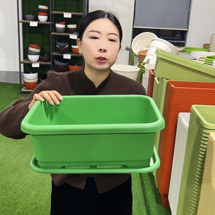 宽体小菜盆长38宽28高15混色3只带托
