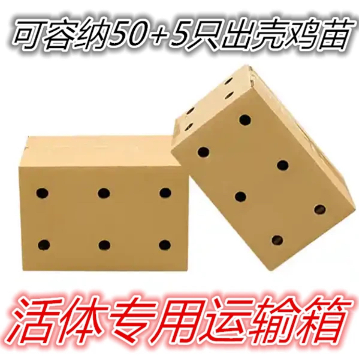 万羽鸡崽专用保温箱运输可装50+出壳