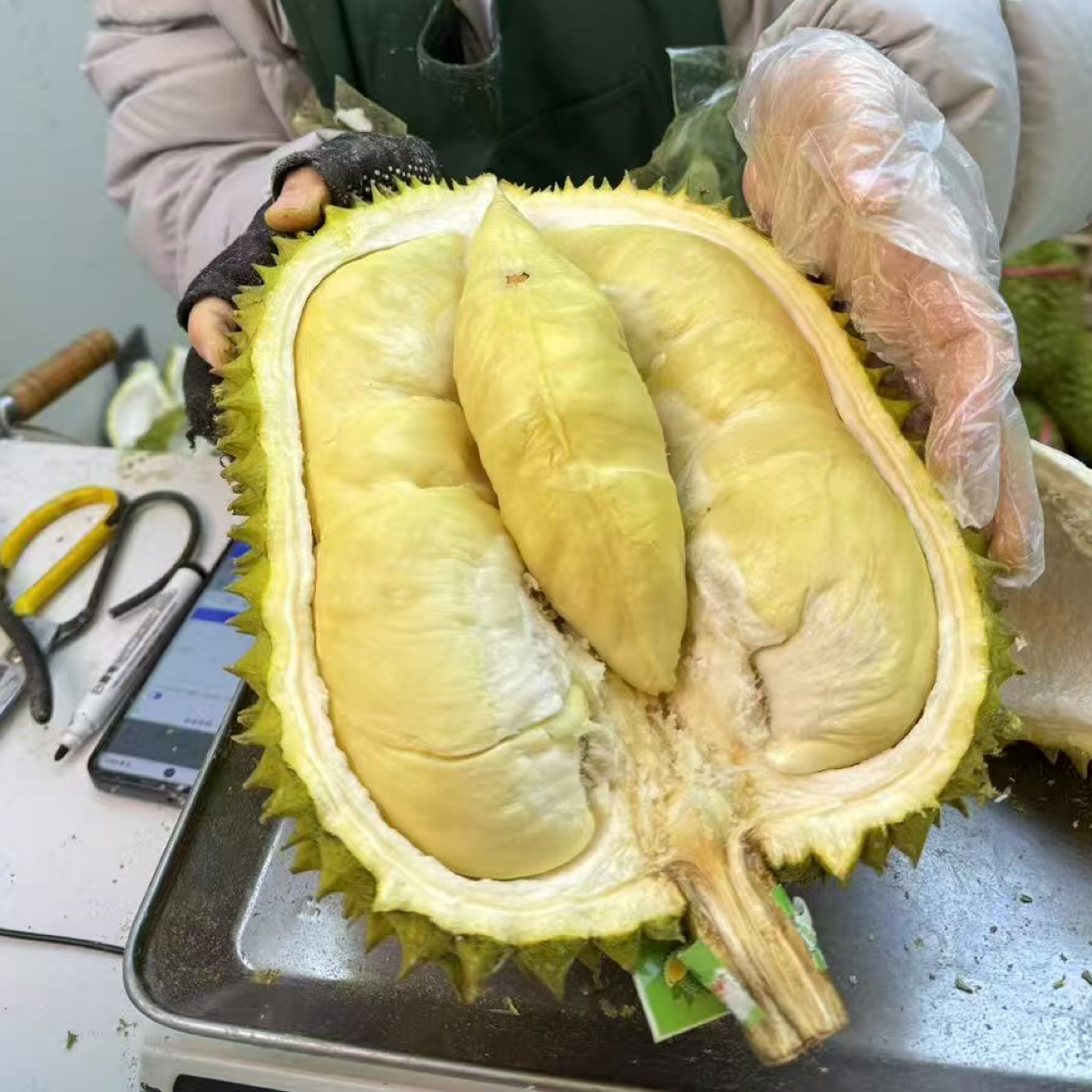 新鲜金枕榴莲一个一果一重肉厚核小金枕