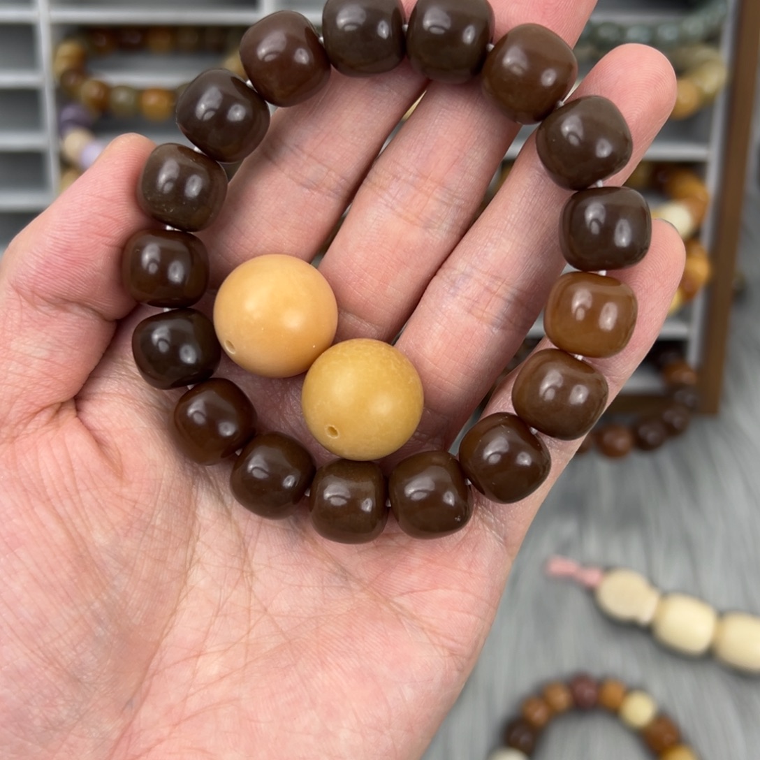 世***J菩提根/象牙果手串