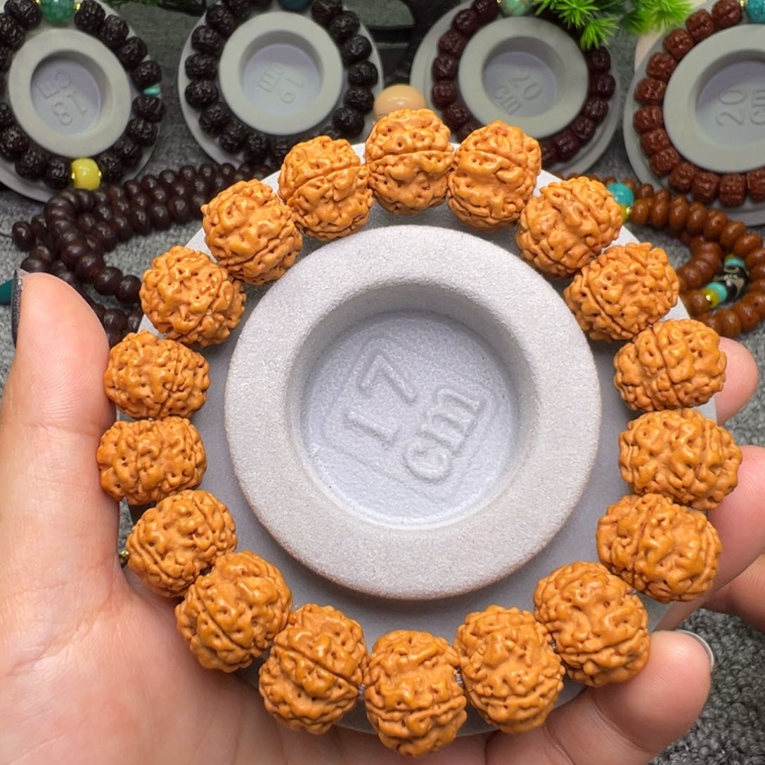 金刚菩提手串帝王花单圈