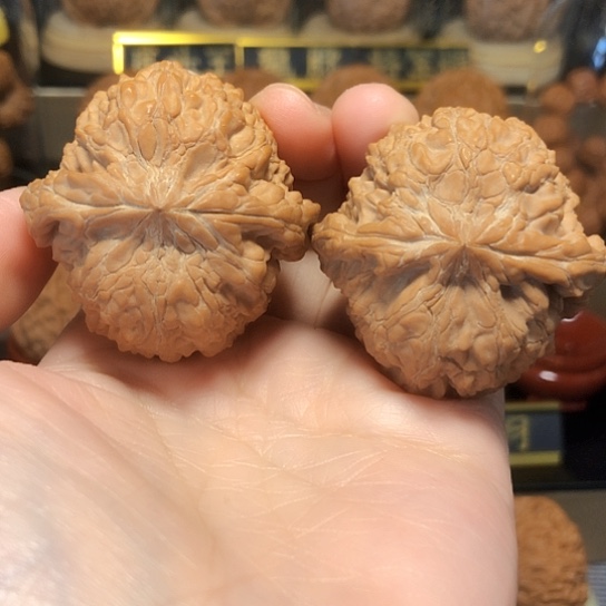 精品正版和尚头货头