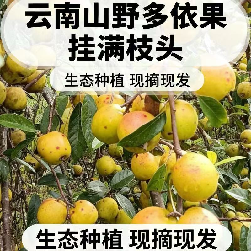 云南普洱多依果酸中带甜汁水足凉拌配辣子粉超酸爽