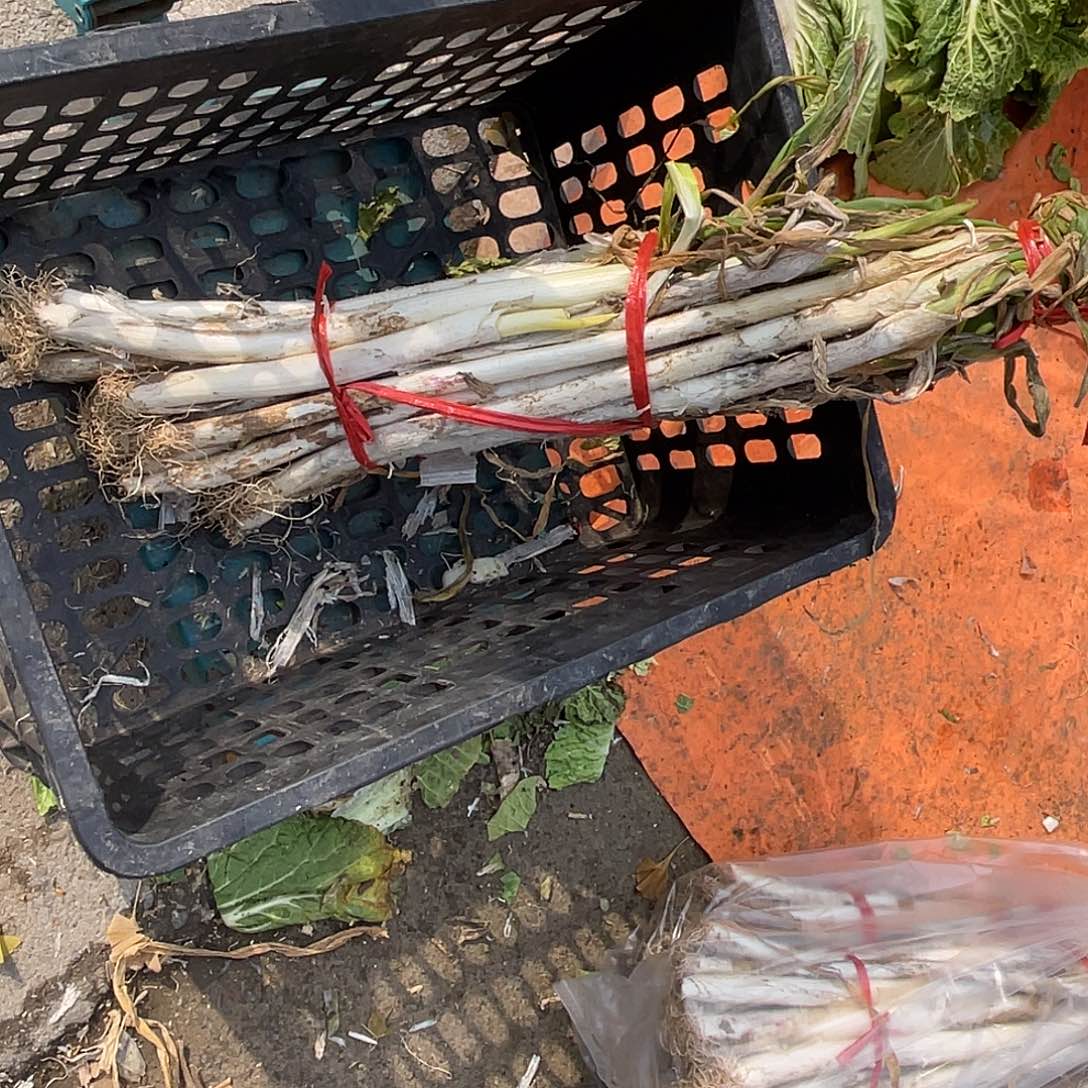 中国大陆本地大葱2.8斤