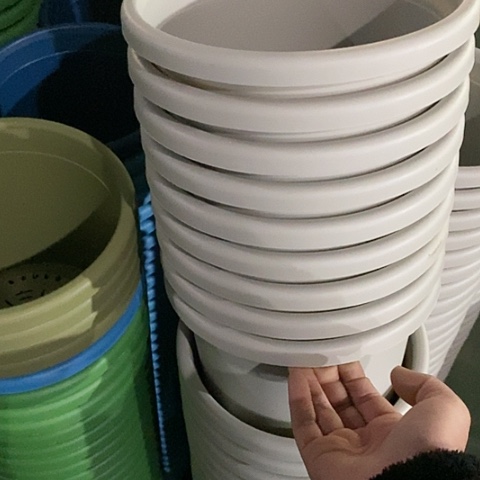 树脂微瑕3号10个无托灰白