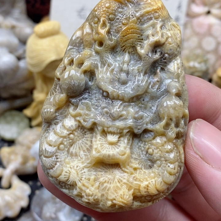 颈饰未镶嵌硅化珊瑚（珊瑚玉）