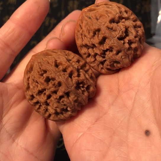 把件文玩核桃水龙纹40mm