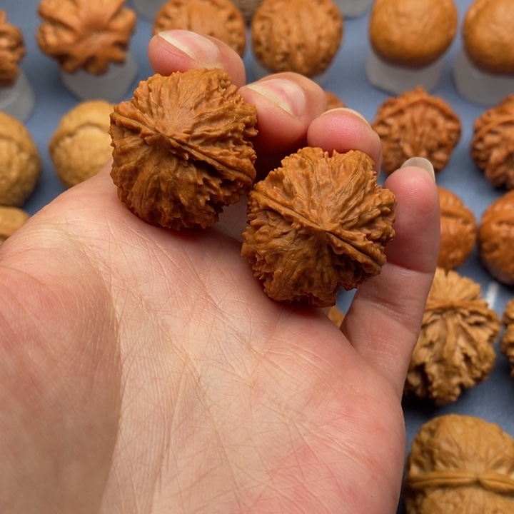 文玩核桃把件蚂蚁粗筋