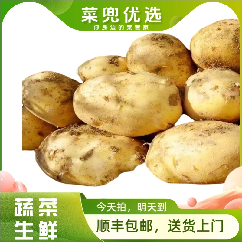 内蒙黄心土豆500g±20g/份