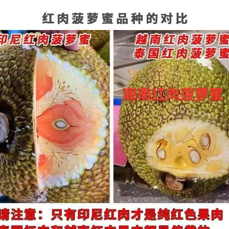  海南红肉菠萝蜜10-36斤包邮（放熟在吃，不要生切，口感柔软香甜）
