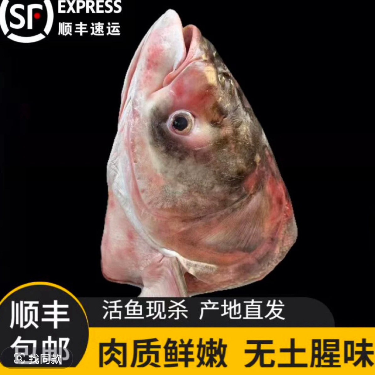 东北胖头花鲢大鱼头6-7斤（顺丰冷链速冻包邮）
