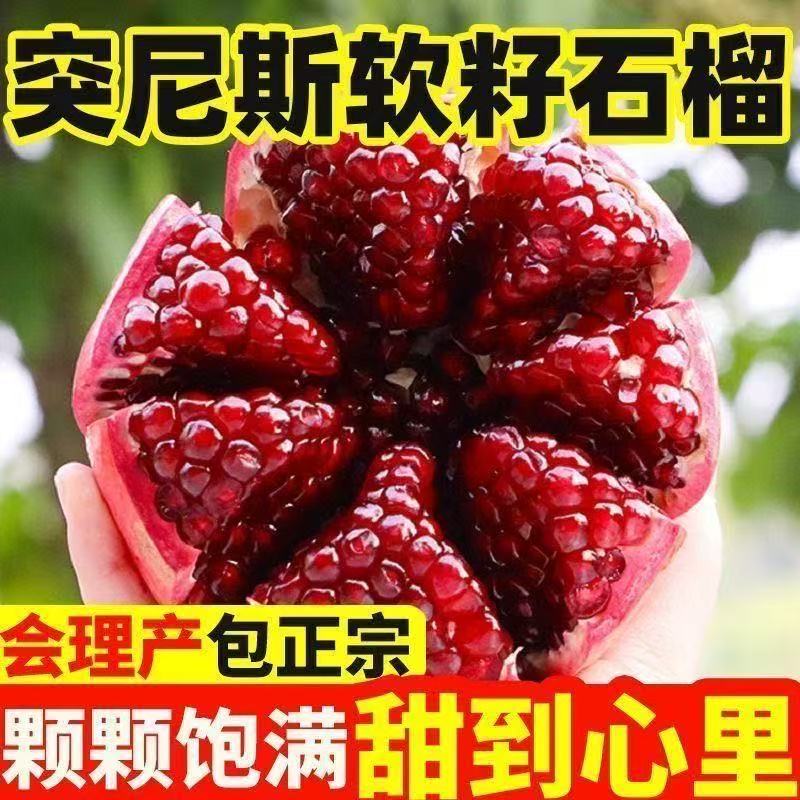 四川会理软籽石榴突尼斯石榴应季水果爆甜多汁新鲜采摘石榴xz