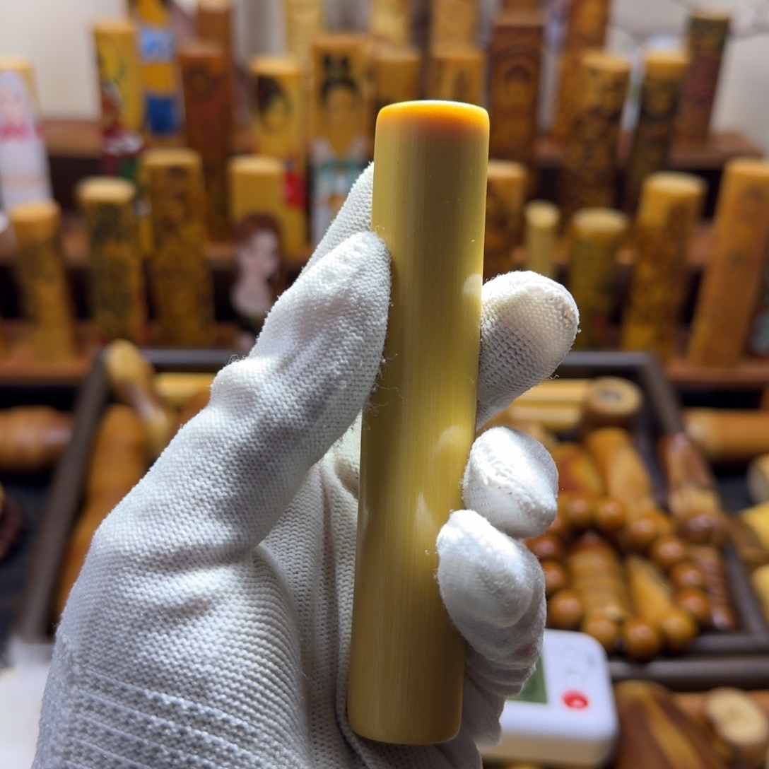 竹类精品实心玉竹