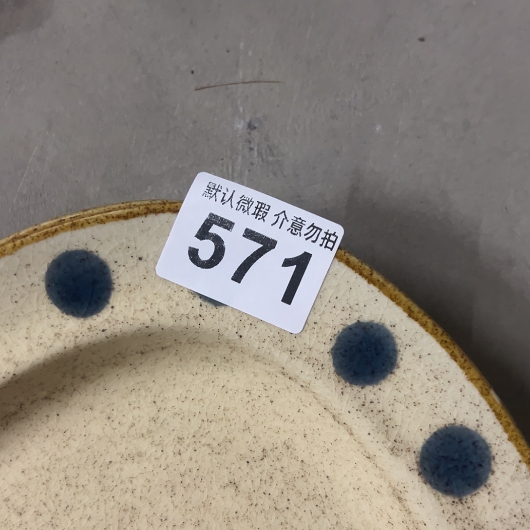 陶微瑕蓝波点方盘一个571