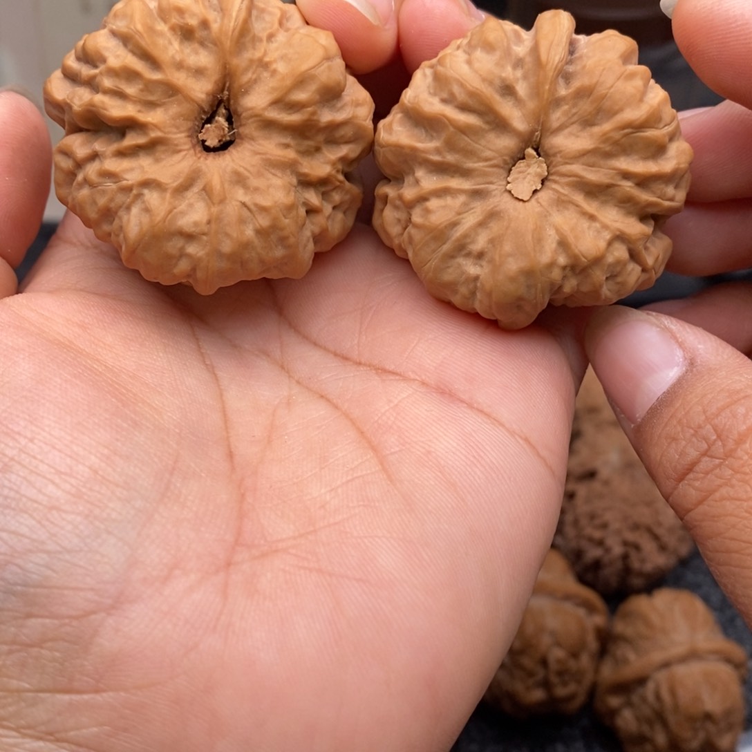 文玩核桃把件40蛤蟆头141