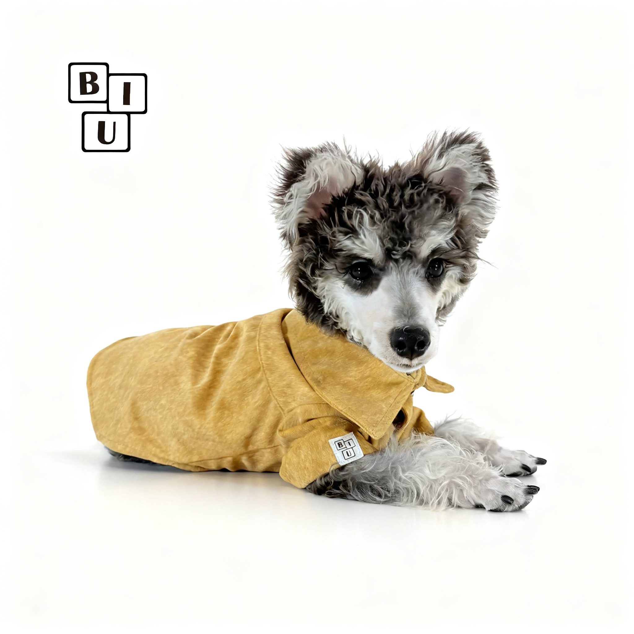 BIUBIU秋季宠物衣服小型犬保暖雪纳瑞西高地马尔泰绒感衬衫外套