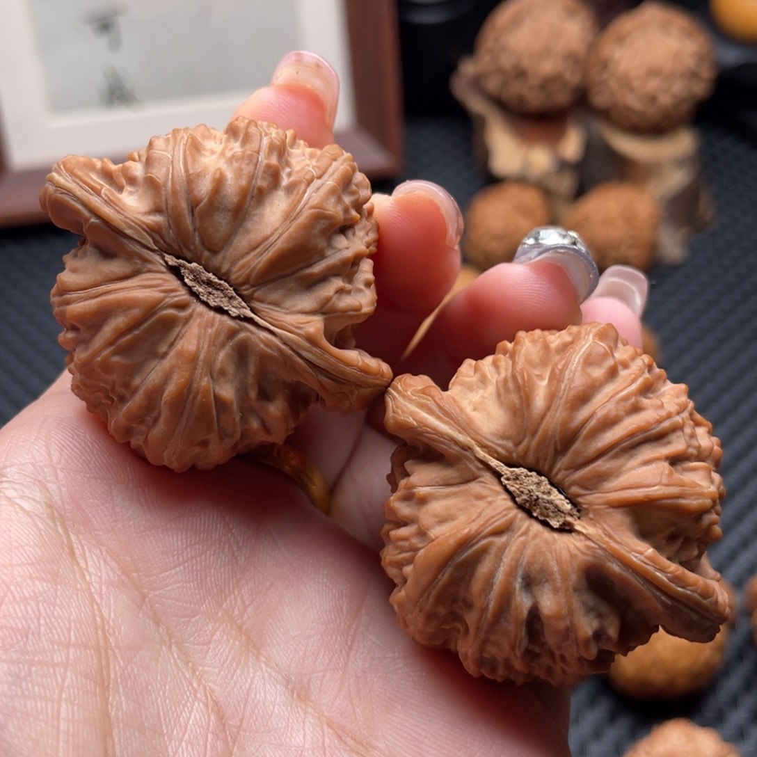我***明文玩核桃把件白狮子