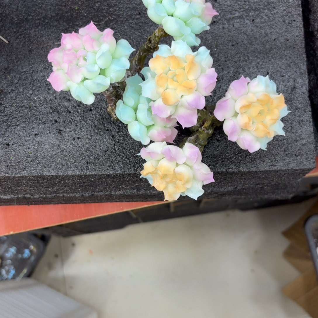 丫***蛙树脂制品43号2个莫莫莫