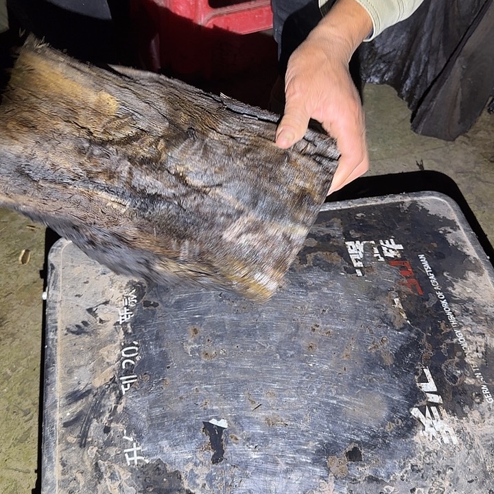 川***哥金丝楠木原料摆件