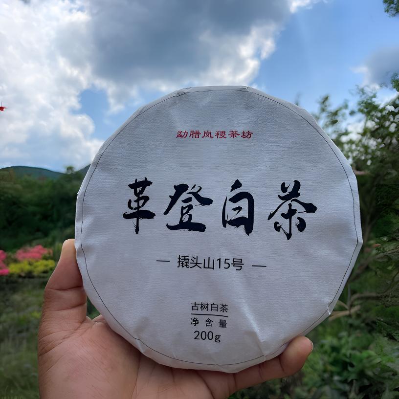 2025年革登白茶200克茶饼普洱茶