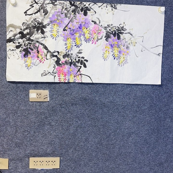 国画国画花鸟画三尺100/50