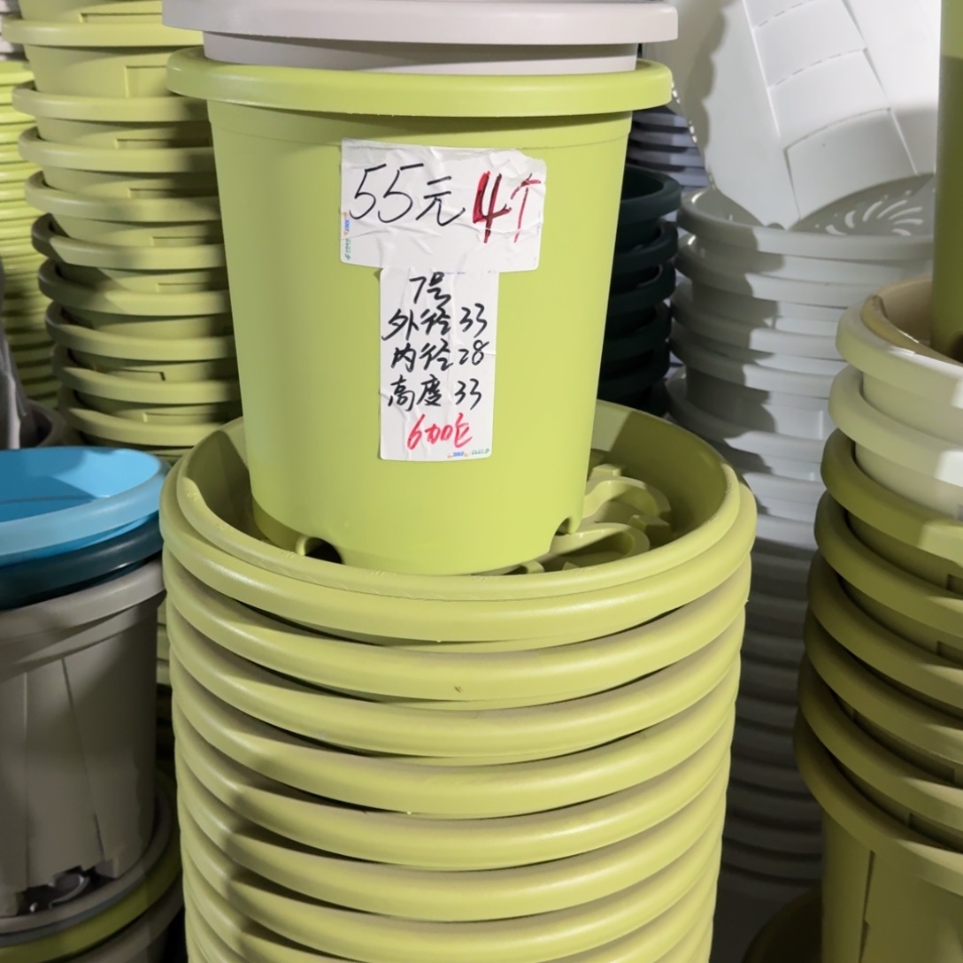 果绿色7号无拖6个