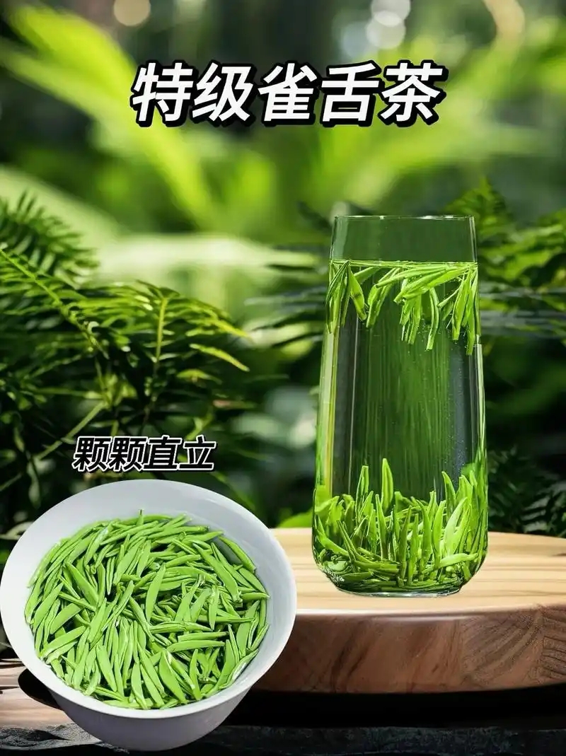 明前新茶雀舌绿茶 高山翠芽 浓香耐泡 原产湄潭