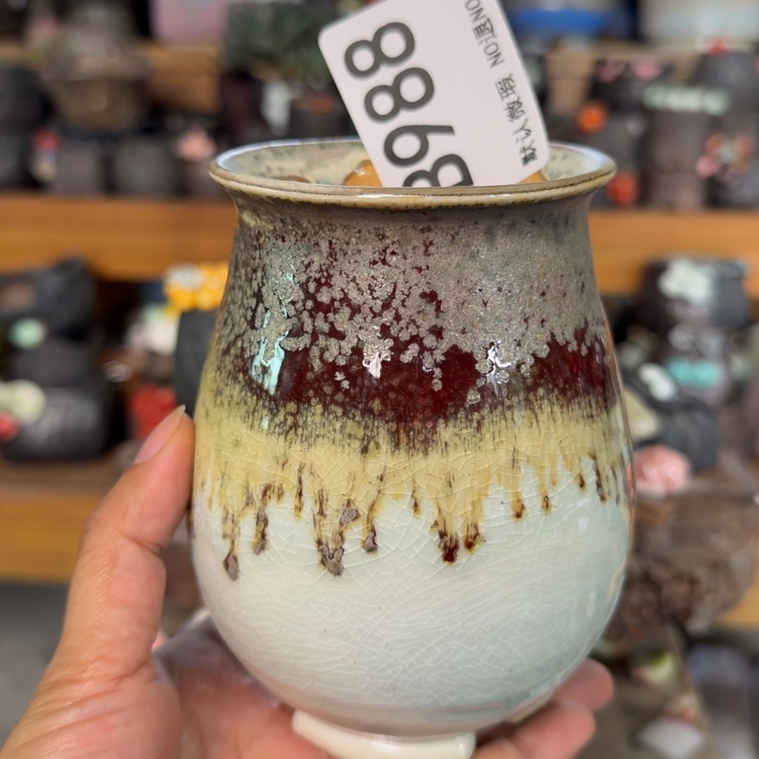 重庆小燕子和欢迎大家988