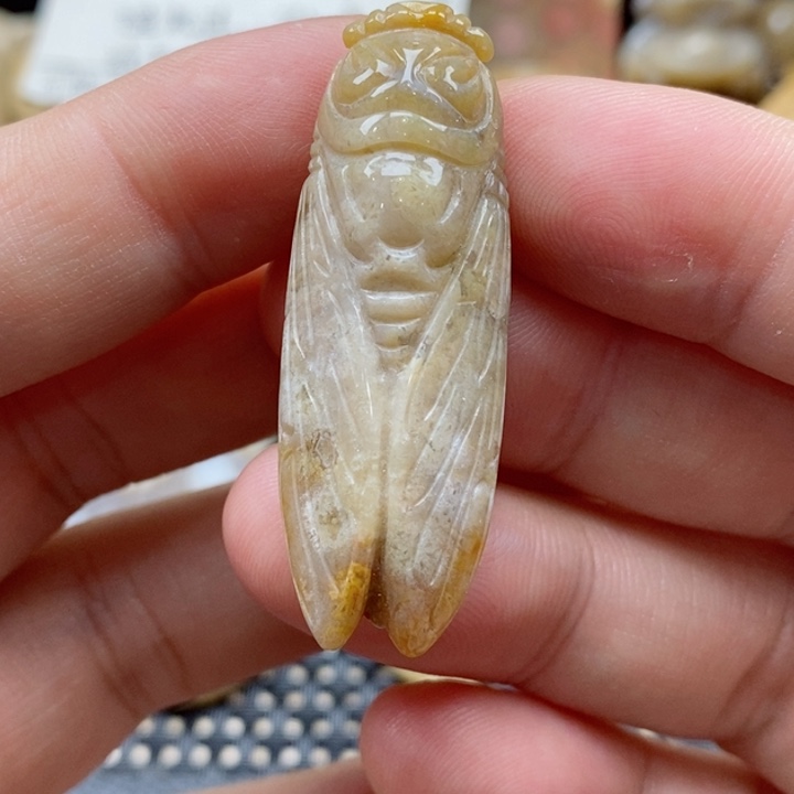 硅化珊瑚（珊瑚玉）颈饰未镶嵌